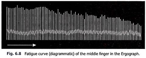 Fatigue Curve