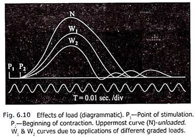 Effects of Load