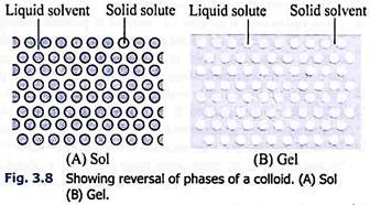 Reversal of Phases of a Colloid