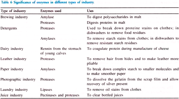 Significance of Enzymes in Different Types of Industry